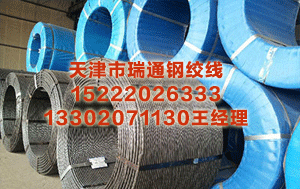 邵阳预应力钢绞线价格 中国精英阶层新思路：生个美国娃 全家去移民